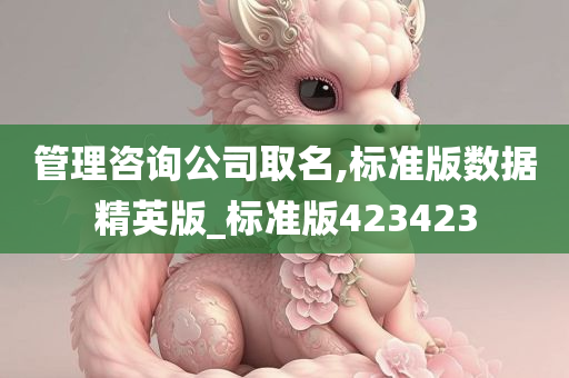 管理咨询公司取名,标准版数据精英版_标准版423423