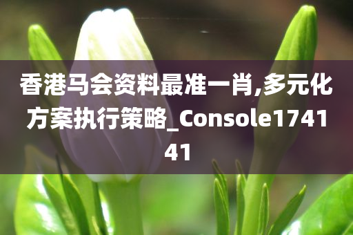 香港马会资料最准一肖,多元化方案执行策略_Console174141