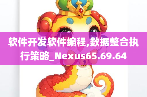 软件开发软件编程,数据整合执行策略_Nexus65.69.64