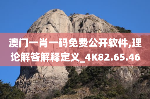 澳门一肖一码免费公开软件,理论解答解释定义_4K82.65.46