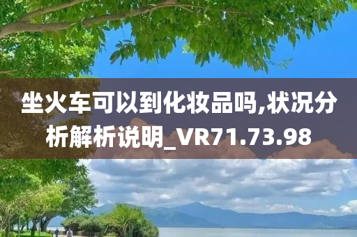 坐火车可以到化妆品吗,状况分析解析说明_VR71.73.98