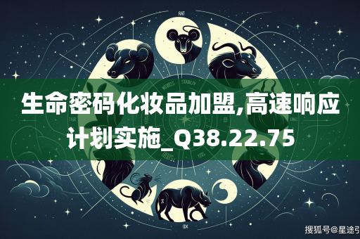 生命密码化妆品加盟,高速响应计划实施_Q38.22.75