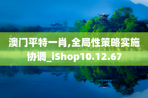 澳门平特一肖,全局性策略实施协调_iShop10.12.67