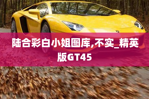 陆合彩白小姐图库,不实_精英版GT45