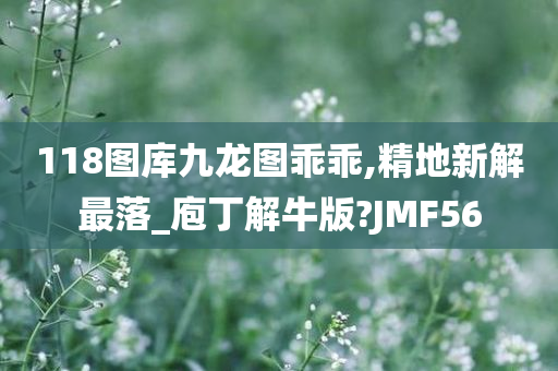 118图库九龙图乖乖,精地新解最落_庖丁解牛版?JMF56