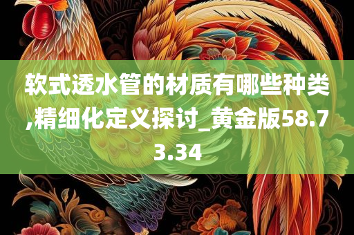 软式透水管的材质有哪些种类,精细化定义探讨_黄金版58.73.34