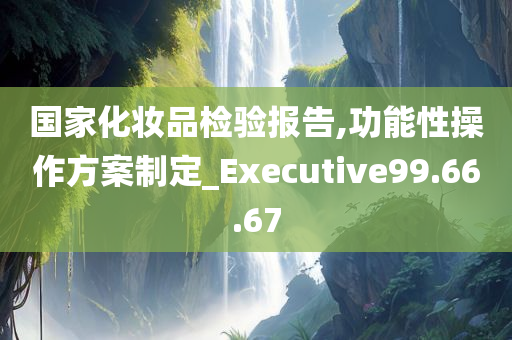 国家化妆品检验报告,功能性操作方案制定_Executive99.66.67