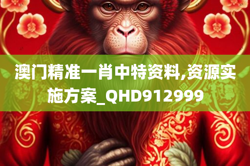 澳门精准一肖中特资料,资源实施方案_QHD912999