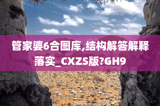 管家婆6合图库,结构解答解释落实_CXZS版?GH9