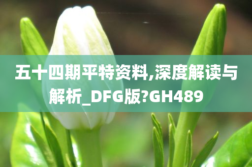 五十四期平特资料,深度解读与解析_DFG版?GH489