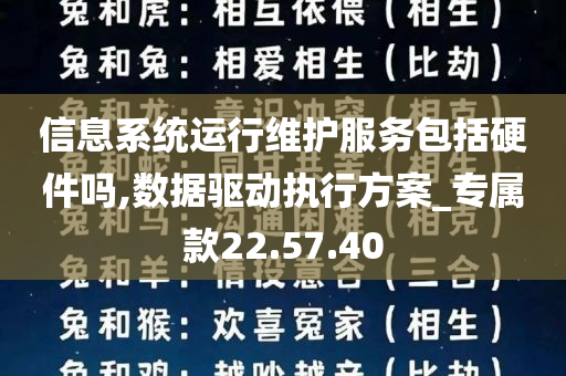 信息系统运行维护服务包括硬件吗,数据驱动执行方案_专属款22.57.40