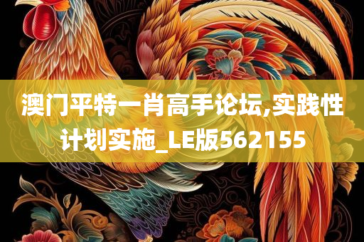 澳门平特一肖高手论坛,实践性计划实施_LE版562155