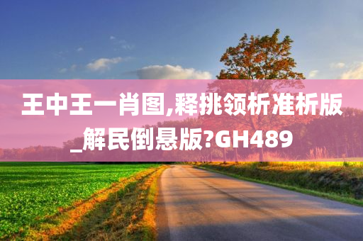 王中王一肖图,释挑领析准析版_解民倒悬版?GH489