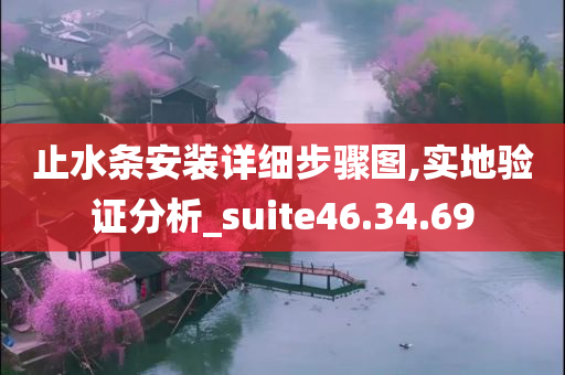 止水条安装详细步骤图,实地验证分析_suite46.34.69