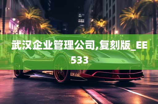 武汉企业管理公司,复刻版_EE533