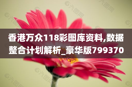 香港万众118彩图库资料,数据整合计划解析_豪华版799370