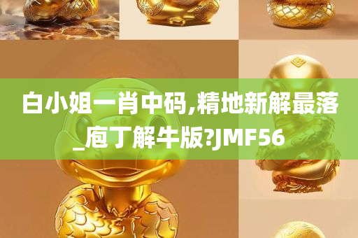 白小姐一肖中码,精地新解最落_庖丁解牛版?JMF56