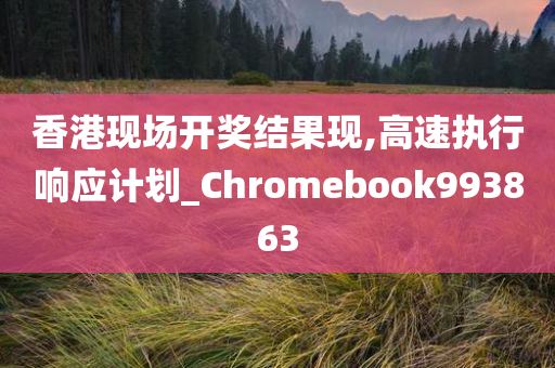 香港现场开奖结果现,高速执行响应计划_Chromebook993863