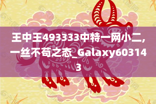 王中王493333中特一网小二,一丝不苟之态_Galaxy603143