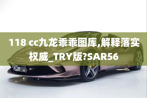 118 cc九龙乖乖图库,解释落实权威_TRY版?SAR56