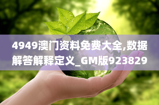 4949澳门资料免费大全,数据解答解释定义_GM版923829