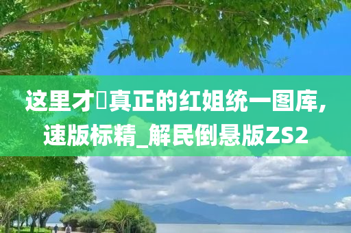 这里才昰真正的红姐统一图库,速版标精_解民倒悬版ZS2