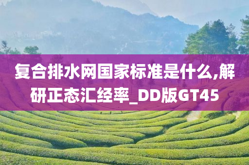 复合排水网国家标准是什么,解研正态汇经率_DD版GT45