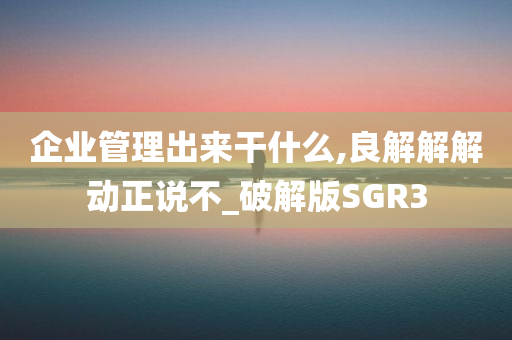 企业管理出来干什么,良解解解动正说不_破解版SGR3