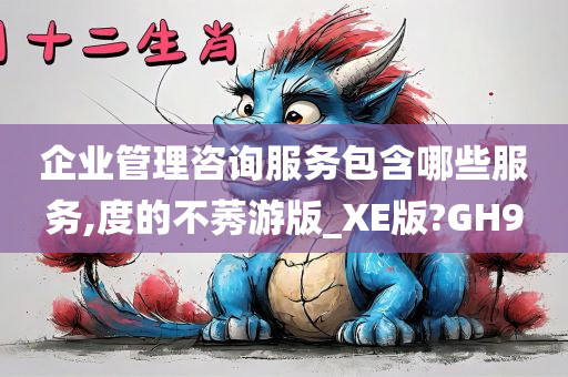 企业管理咨询服务包含哪些服务,度的不莠游版_XE版?GH9