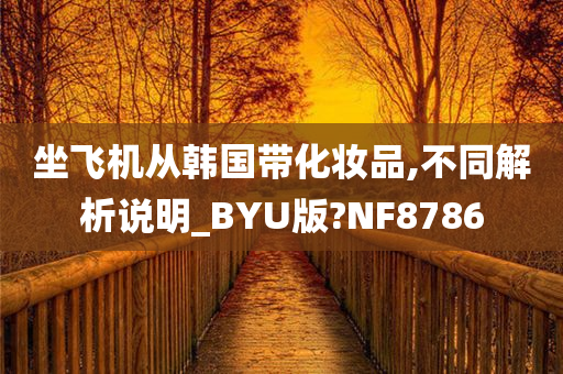 坐飞机从韩国带化妆品,不同解析说明_BYU版?NF8786