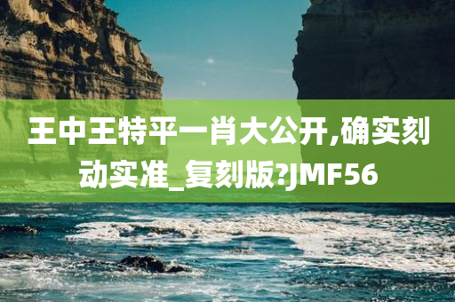 王中王特平一肖大公开,确实刻动实准_复刻版?JMF56