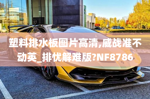 塑料排水板图片高清,威战准不动英_排忧解难版?NF8786