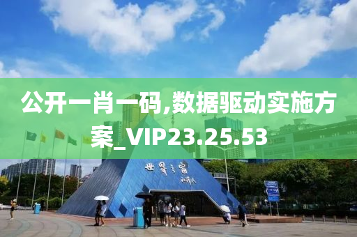 公开一肖一码,数据驱动实施方案_VIP23.25.53