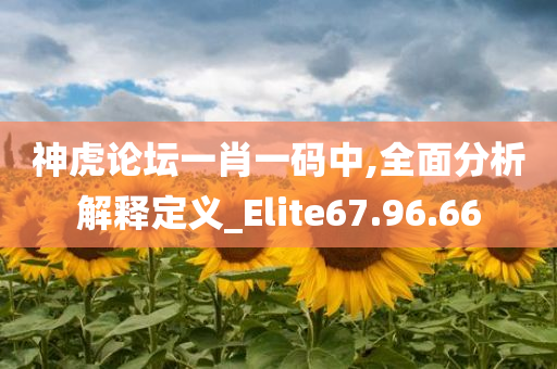 神虎论坛一肖一码中,全面分析解释定义_Elite67.96.66