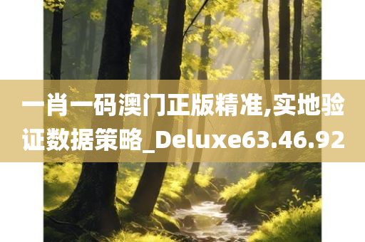 一肖一码澳门正版精准,实地验证数据策略_Deluxe63.46.92