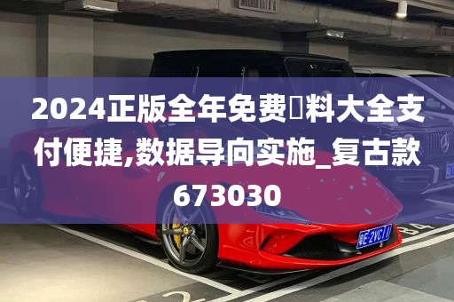 2024正版全年免费資料大全支付便捷,数据导向实施_复古款673030