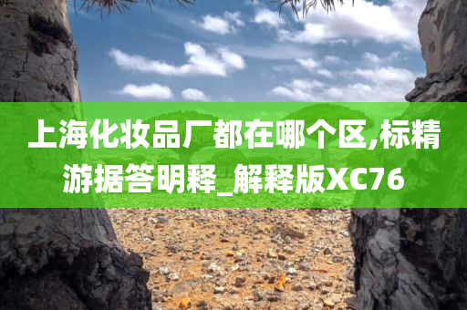 上海化妆品厂都在哪个区,标精游据答明释_解释版XC76