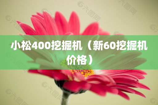 小松400挖掘机（新60挖掘机价格）