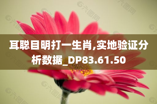 耳聪目明打一生肖,实地验证分析数据_DP83.61.50