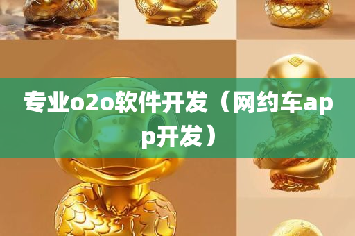 专业o2o软件开发（网约车app开发）