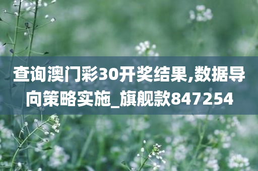 查询澳门彩30开奖结果,数据导向策略实施_旗舰款847254