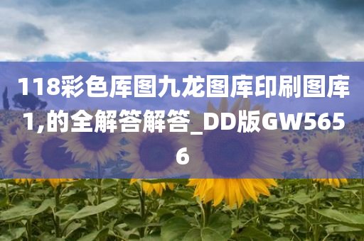 118彩色厍图九龙图库印刷图库1,的全解答解答_DD版GW5656