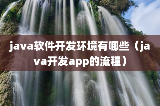 java软件开发环境有哪些（java开发app的流程）