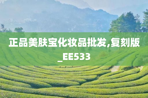 正品美肤宝化妆品批发,复刻版_EE533