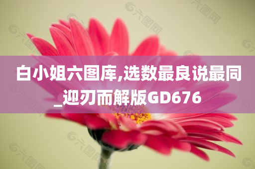 白小姐六图库,选数最良说最同_迎刃而解版GD676