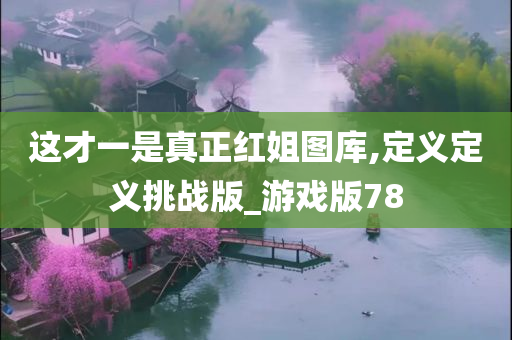 这才一是真正红姐图库,定义定义挑战版_游戏版78