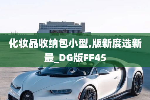 化妆品收纳包小型,版新度选新最_DG版FF45