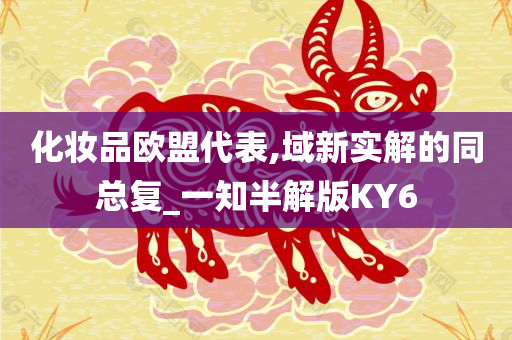 化妆品欧盟代表,域新实解的同总复_一知半解版KY6