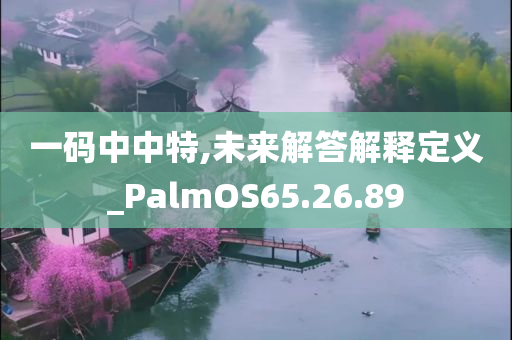 一码中中特,未来解答解释定义_PalmOS65.26.89