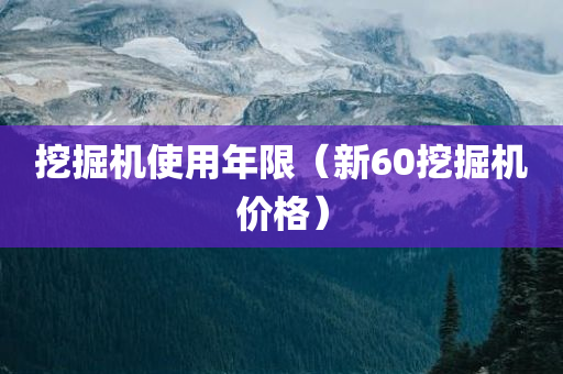 挖掘机使用年限（新60挖掘机价格）